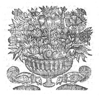 Ilustración cesta de fruta